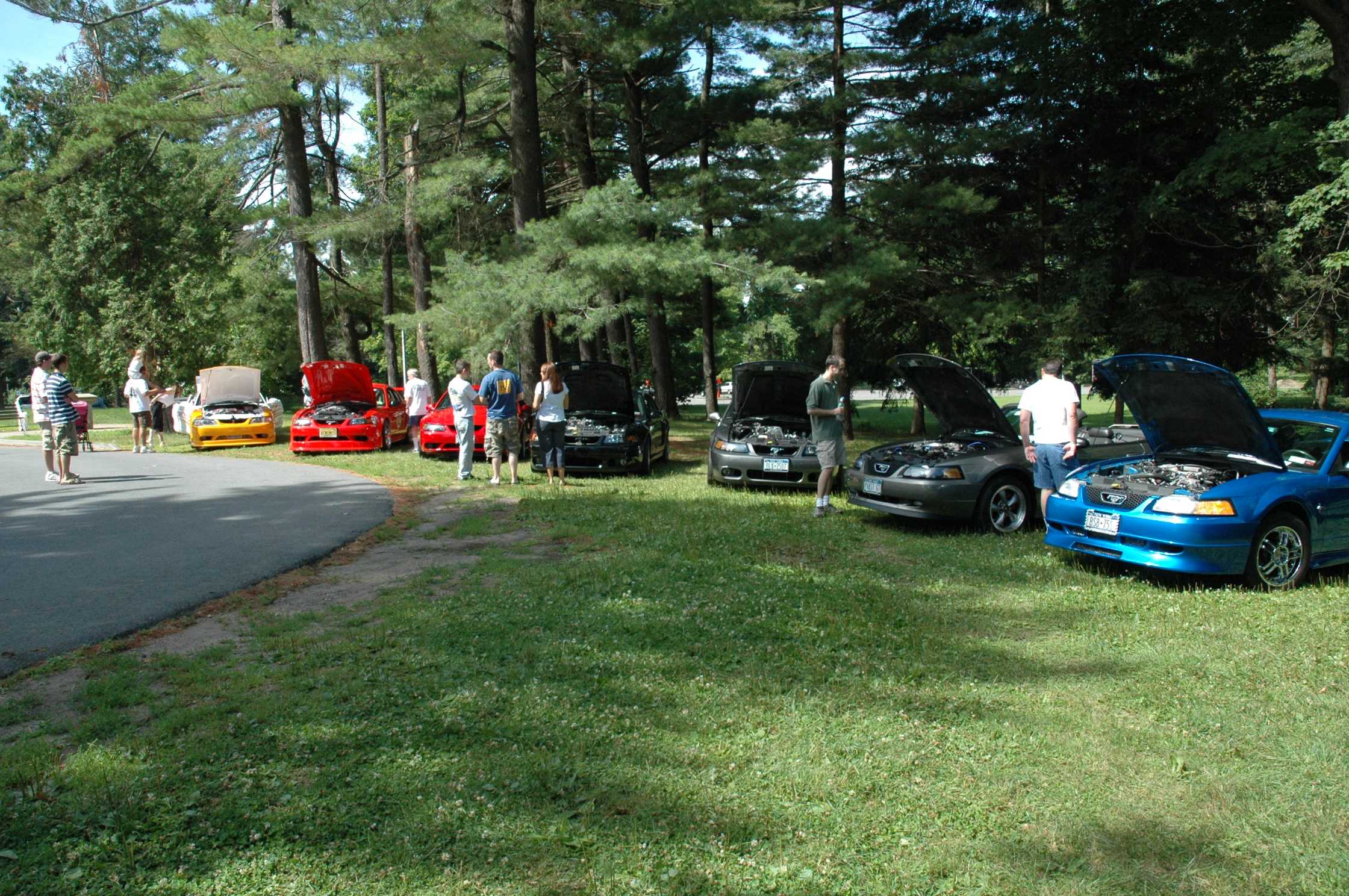 2000 Ford Mustang photo