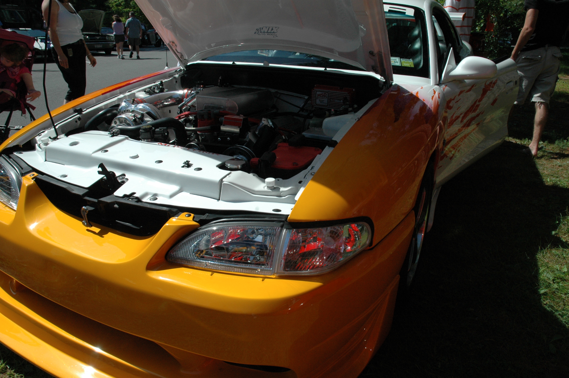 2000 Ford Mustang photo
