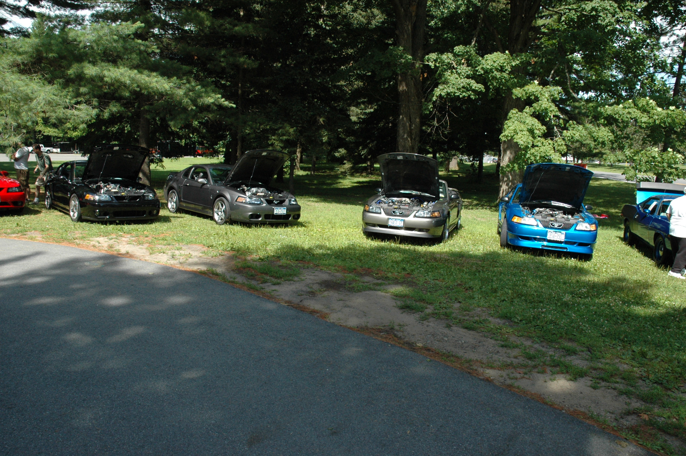 2000 Ford Mustang photo