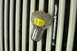 1968 Ford Mustang - Close-up of an automotive LED bulb with a '1157' label, set against a slatted background.