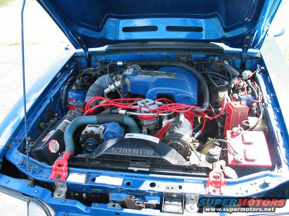 Blue 1990 Ford Mustang engine bay with 5.0 badging