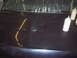 1998 Ford Crown Victoria photo