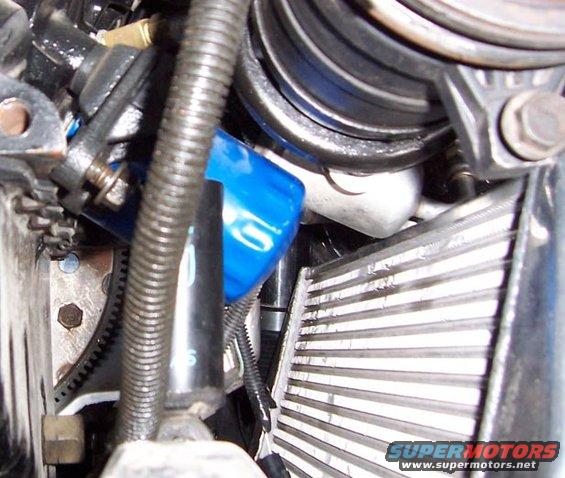 close-up of engine bay showing blue oil filter, ribbed hose, and radiator fins
