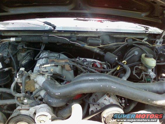 Engine bay view of a vehicle with hoses and engine components