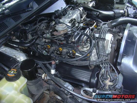 Engine bay of a 1996 Ford Crown Victoria, showing the V8 engine, alternator, and various hoses and wires