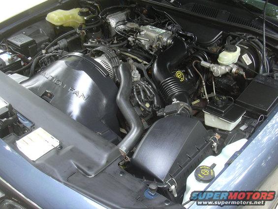 1996 Ford Crown Victoria engine bay with V8 engine, air intake, and coolant reservoir visible