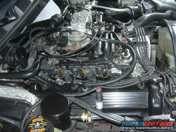 engine bay with fuel injectors and wiring