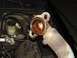 1998 Ford Crown Victoria - Close-up of a corroded thermostat housing and hose assembly, with engine components in the background.