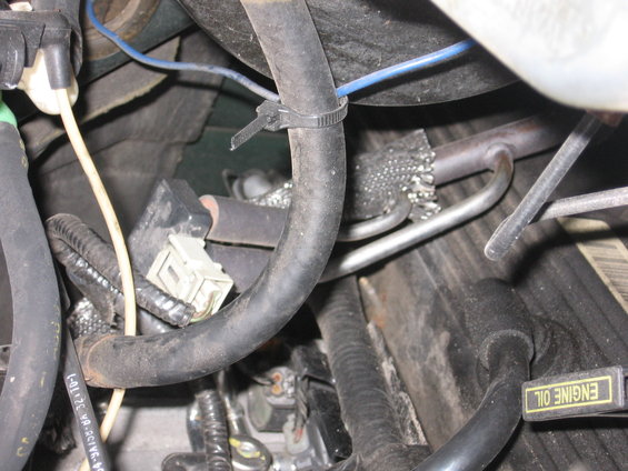 Close-up of engine bay hoses, wires, and an oil cap