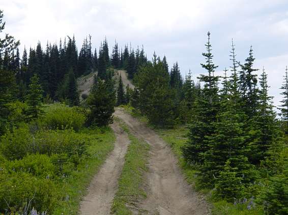 broncofest_2002_110.jpg Checking out the trail coming up