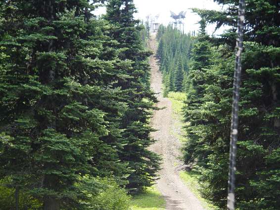 broncofest_2002_116.jpg The hill ahead looked soooo steep it was amazing