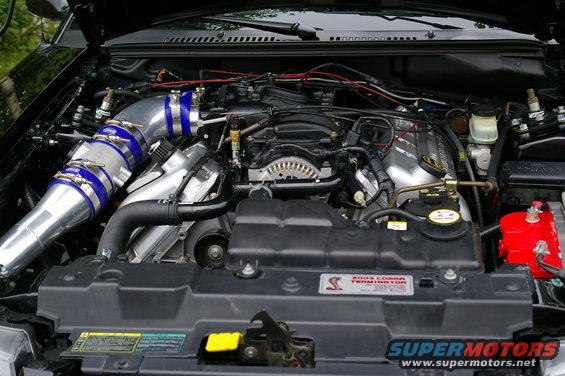 Engine bay with "2003 COBRA TERMINATOR" badge visible