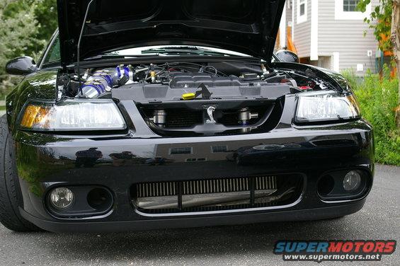 Black Ford Mustang Cobra with hood open showing engine and intercooler