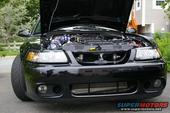 Black car front view, hood open, showing engine and aftermarket intercooler. Cobra emblem on grille