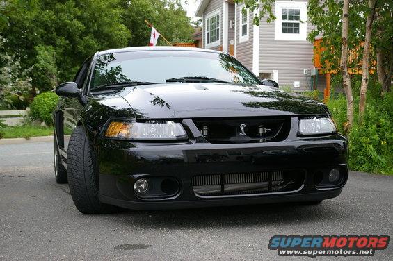 Black Ford Mustang Cobra with cobra emblem on grille, parked in driveway