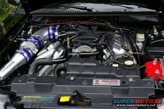 Engine bay with "2003 Cobra Terminator" badge visible