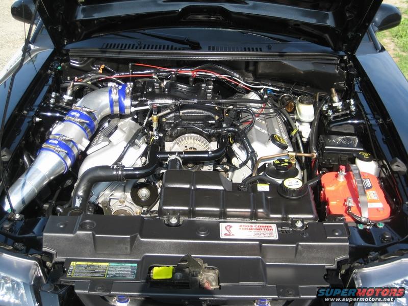1995 Ford Probe photo