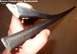 Tailgate Inner Weatherbelts (F6TZ9842072AA) Sold one
IF THE IMAGE IS TOO SMALL, click it.
These are...