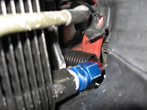 Close-up of a blue and red AN fitting on a braided hose connected to an oil cooler