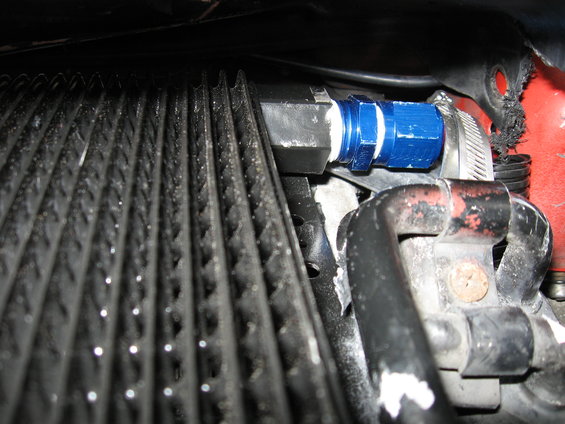 close-up of blue oil cooler line connected to black fitting near radiator fins