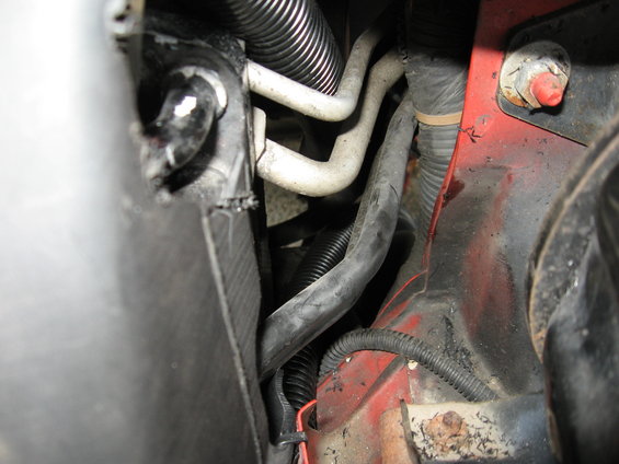 Engine bay hoses and wiring, close-up view