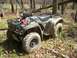 1999 Honda FOURTRAX FOREMAN S