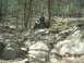 1999 Honda FOURTRAX FOREMAN S - Coming down trail 4