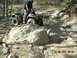 1999 Honda FOURTRAX FOREMAN S