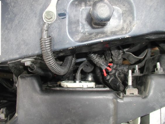 Engine bay wiring and fuel pump assembly with corrugated tubing and red-tipped wires
