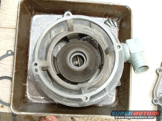 Water pump impeller housing with visible impeller and hose fitting, sitting in a metal tray