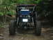 1992 Ford Mustang - Custom buggy with roll cage and large tires navigating a wooded trail.