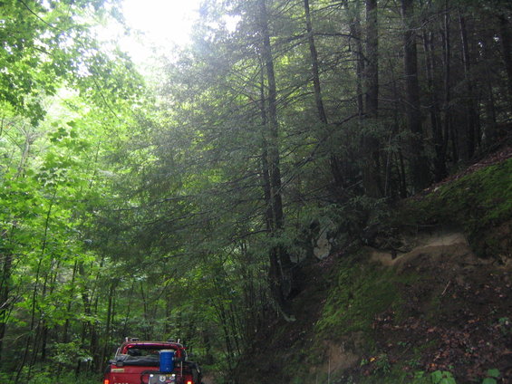 Red pickup truck from rear in a dense forest