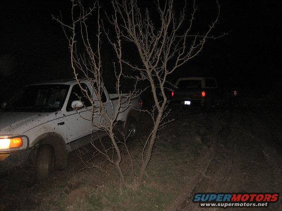 White pickup truck and another vehicle on a dirt path at night, with a thorny bush in the foreground