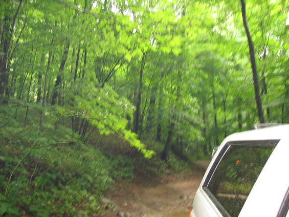 White SUV side view on a dirt road in a forest