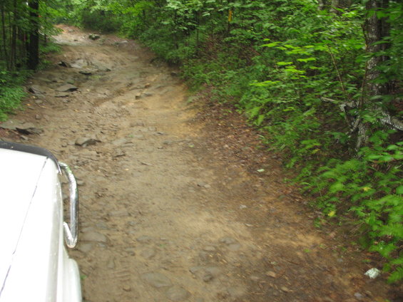 White vehicle's front corner on a rough forest road