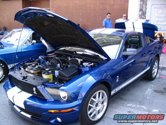 Blue Ford Mustang Shelby GT500 with hood open, parked next to another blue Mustang