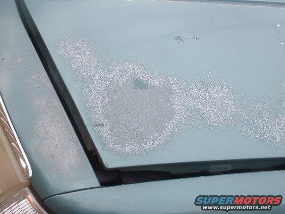 Light blue car hood with faded paint and clear coat damage
