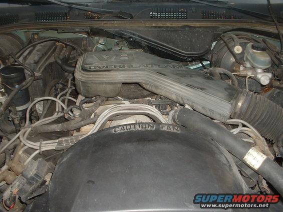 Engine bay with V8 overhead cam engine cover and "CAUTION FAN" warning