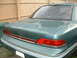 DSCF0012.JPG