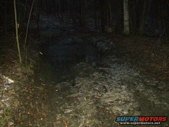 Forest trail covered in ice shards and mud, with trees in the background