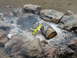 P1010127.JPG