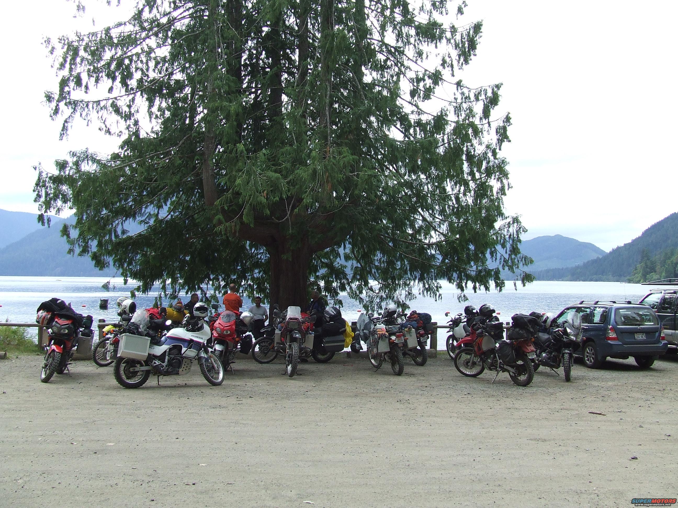 1997 BMW F650 photo