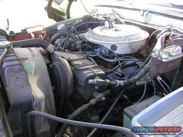 1978_blue08.jpg