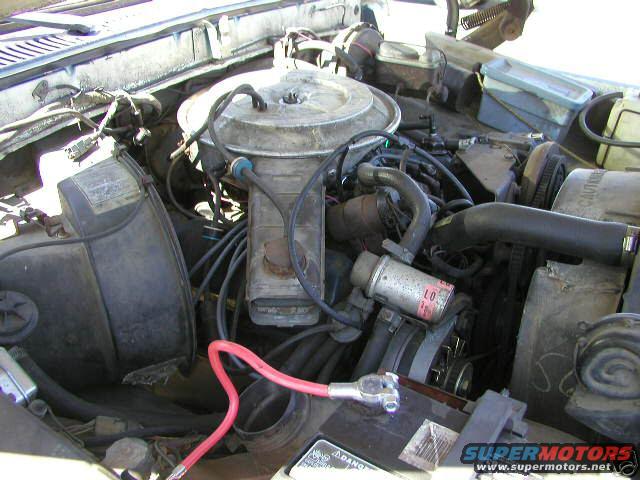 1978_blue09.jpg