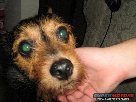 img_0001.jpg 7-31-07