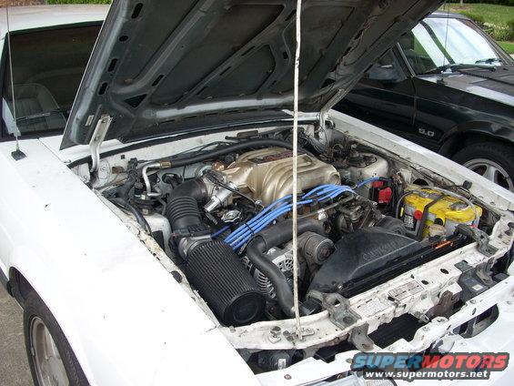 1991 Ford Mustang engine bay with aftermarket air filter and blue spark plug wires. Another Mustang is visible in the background