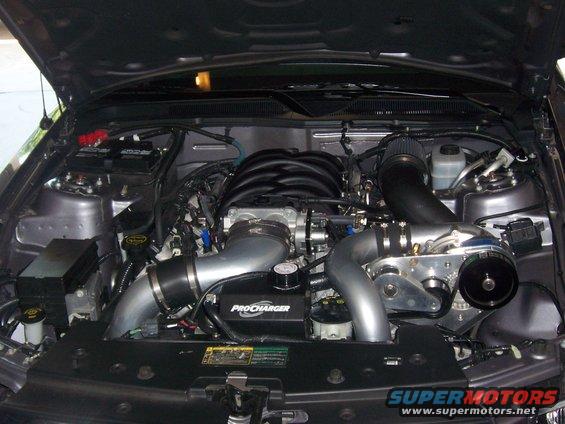 2006 Ford Mustang engine bay with ProCharger supercharger installed