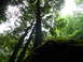 P1010222.JPG