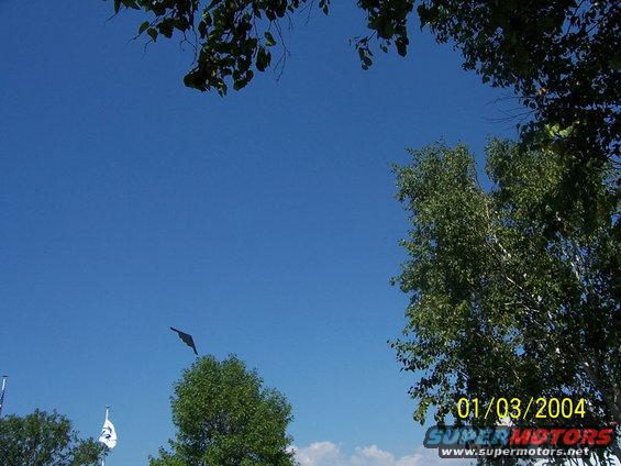Stealth bomber flying in a clear blue sky with trees and flags below. Watermark says 01/03/2004
