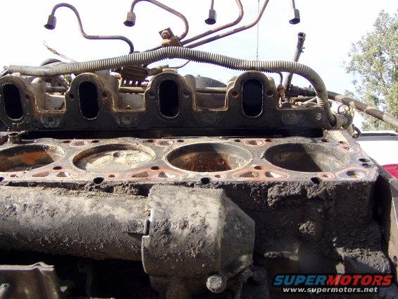 7.3-diesel-(6).jpg Looking at the block